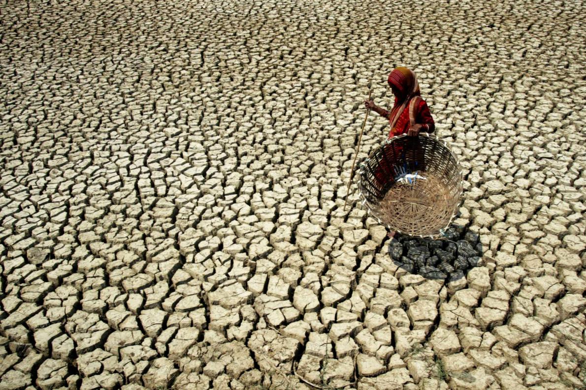 一位婦女行走在印度巴德拉克縣（Bhadrak）巴蘇德布普爾村（Basudevpur village）乾涸龜裂的土地上。南亞許多地區愈來愈燠熱潮溼，除非溫室氣體不再累積，否則氣候的暖化趨勢將持續下去。／PHOTOGRAPH BY BISWARANJAN ROUT, AP