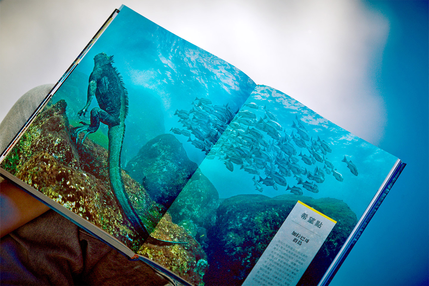 cover6