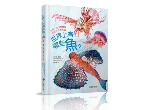 世界上有哪些魚? 魚類、海洋動物與牠們生活的大海