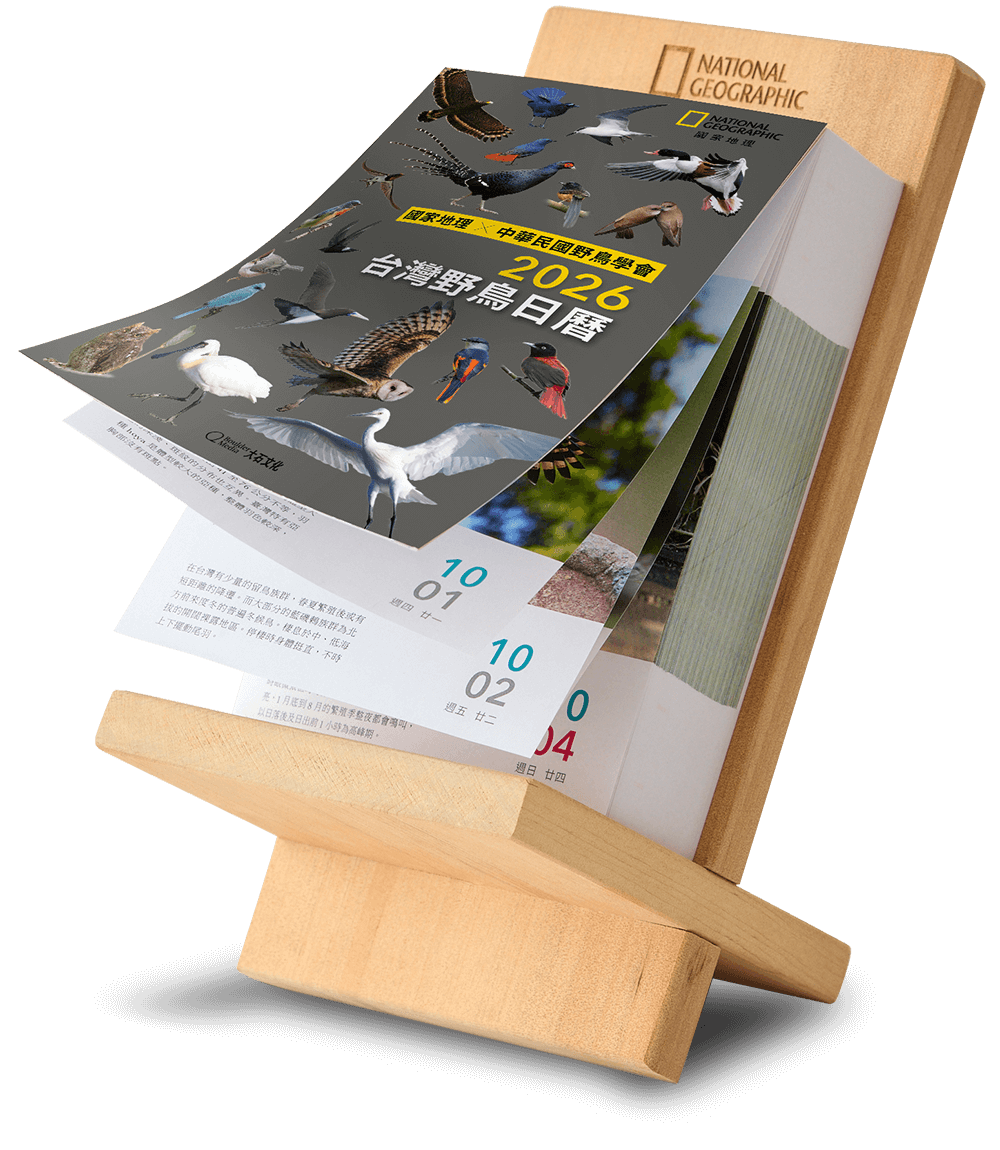 2026台灣野鳥日曆1