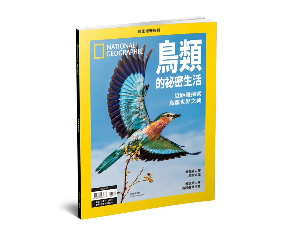 【【特刊】國家地理雜誌鳥類的祕密生活