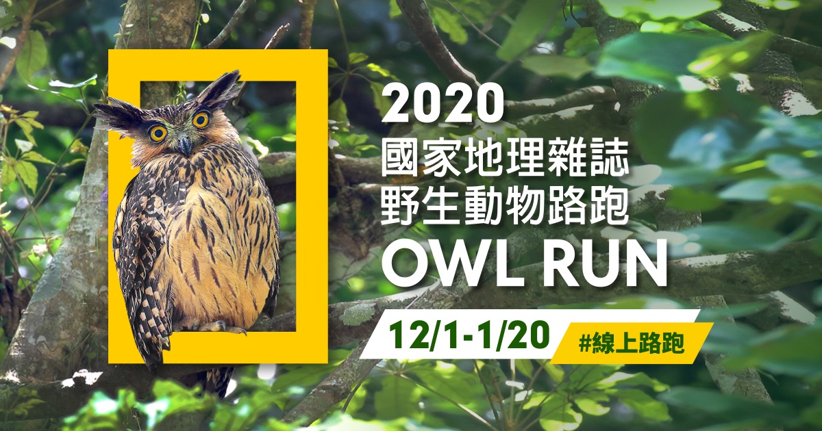 [情報] 國家地理2020動物路跑 OwlRun (線上賽)