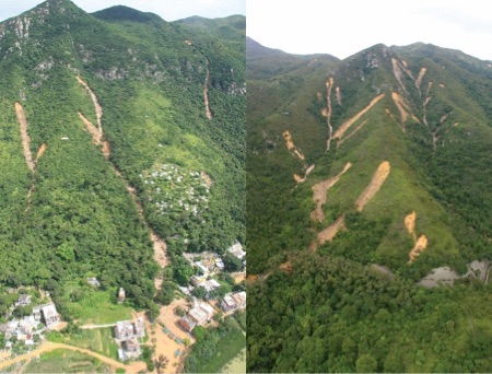 西大嶼山引發了多宗天然山坡山泥傾瀉