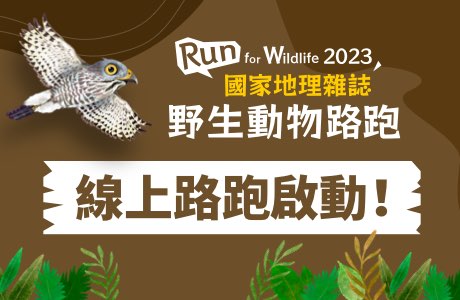 12/3無法到場?現在開放線上路跑囉！