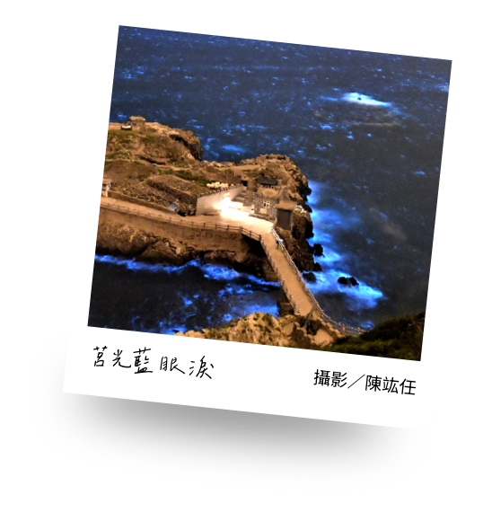 徵件作品示範 藍眼淚