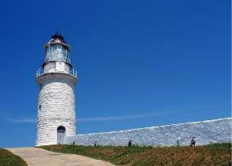 東犬燈塔徵稿第一名