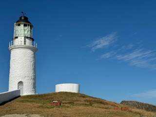 東犬燈塔徵稿第一名