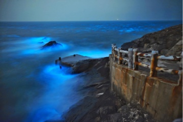 西莒方塊海徵稿第1名