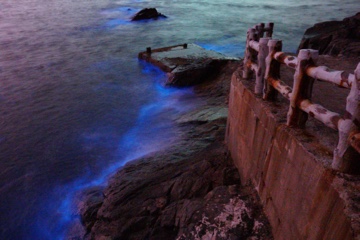 西莒方塊海徵稿第2名