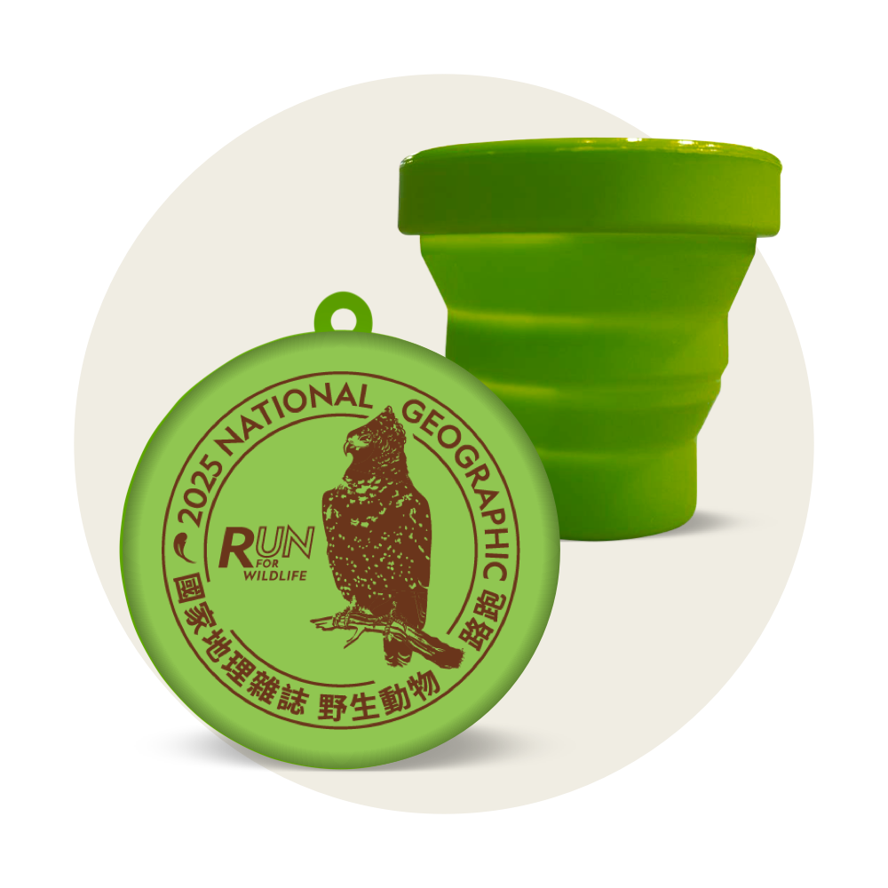 紀念環保矽膠杯