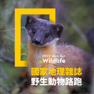 2022黃喉貂主題路跑