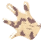 前往報名