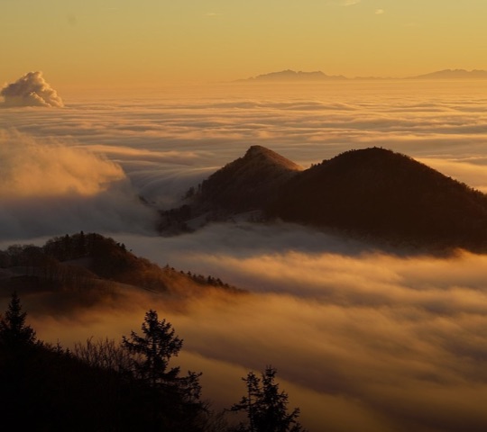 植物遷徙的非凡旅程 在臺灣高山遇見千萬年歲橫斷山