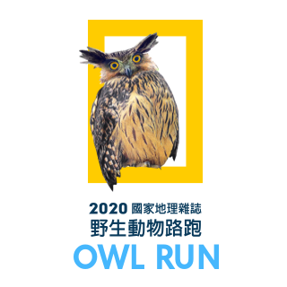2020貓頭鷹路跑