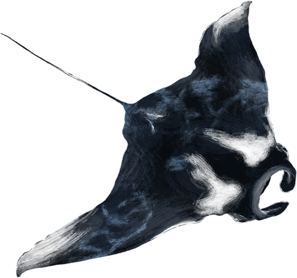 主題動物鬼蝠魟