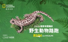 2026 野生動物路跑