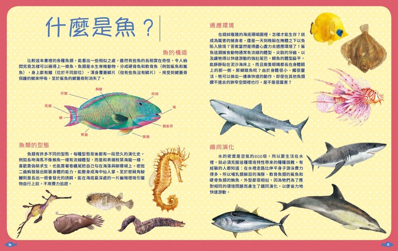 什麼什麼有魚成語