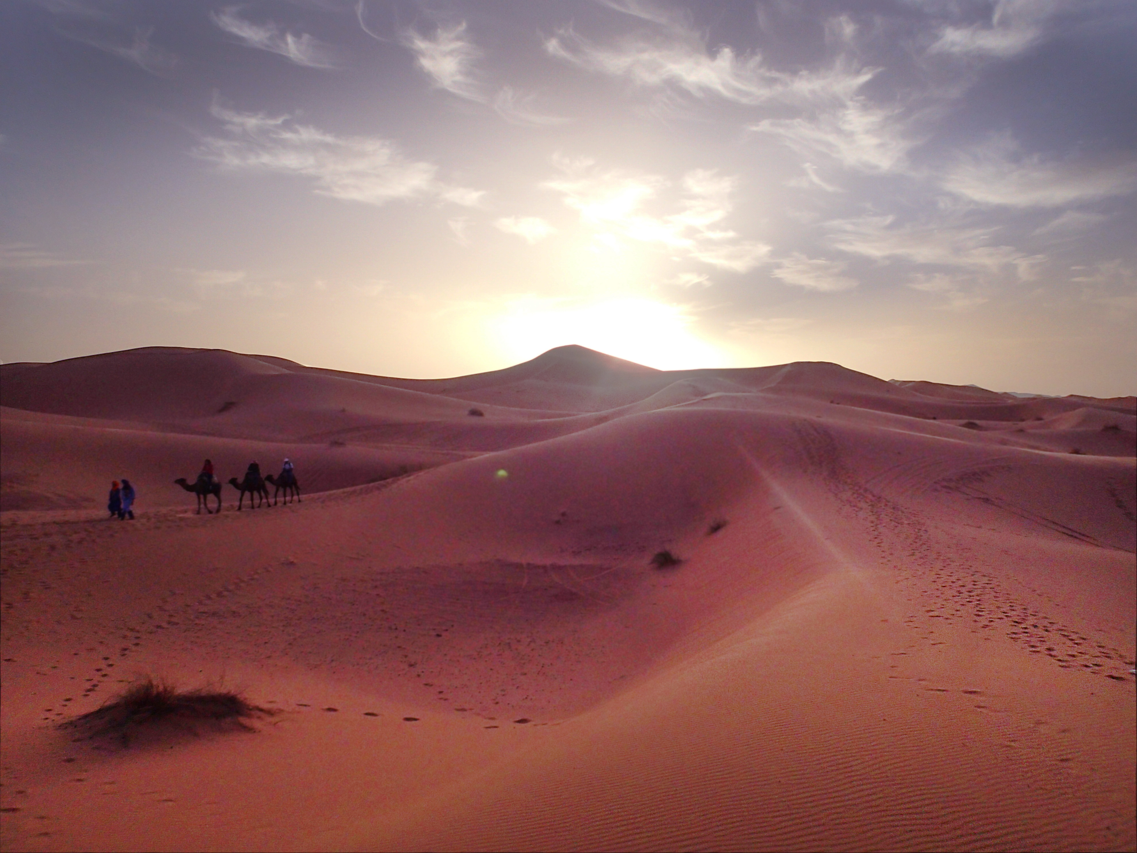 穿梭於摩洛哥的虛構與現實- 國家地理雜誌官方網站｜探索自然、科學與文化的最佳權