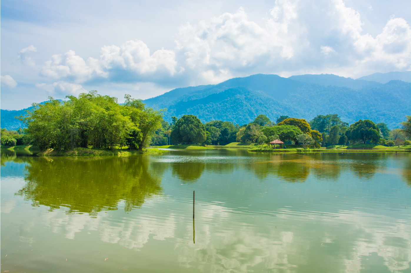 走入徐志摩詩中的馬來西亞太平湖 國家地理雜誌中文網