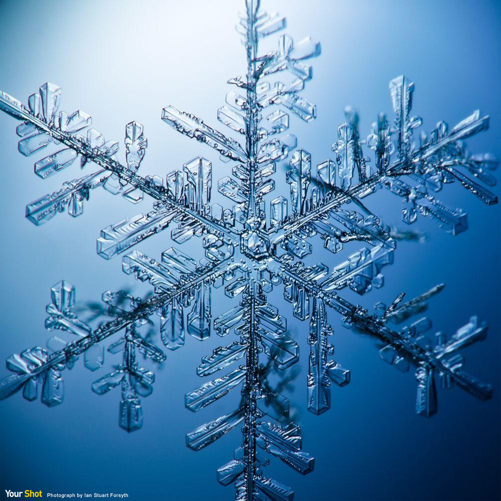 雪花結晶 國家地理雜誌中文網 雪花結晶 國家地理雜誌中文網