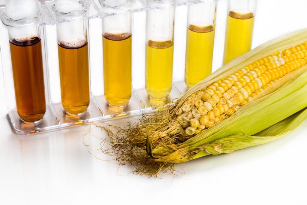 Corn generated ethanol biofuel with test tubes on white background