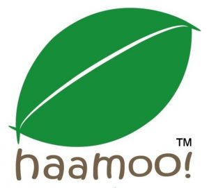 company-new-logo