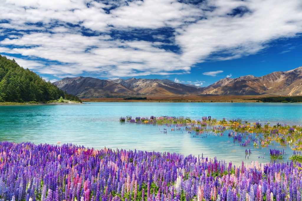 lake tekapo