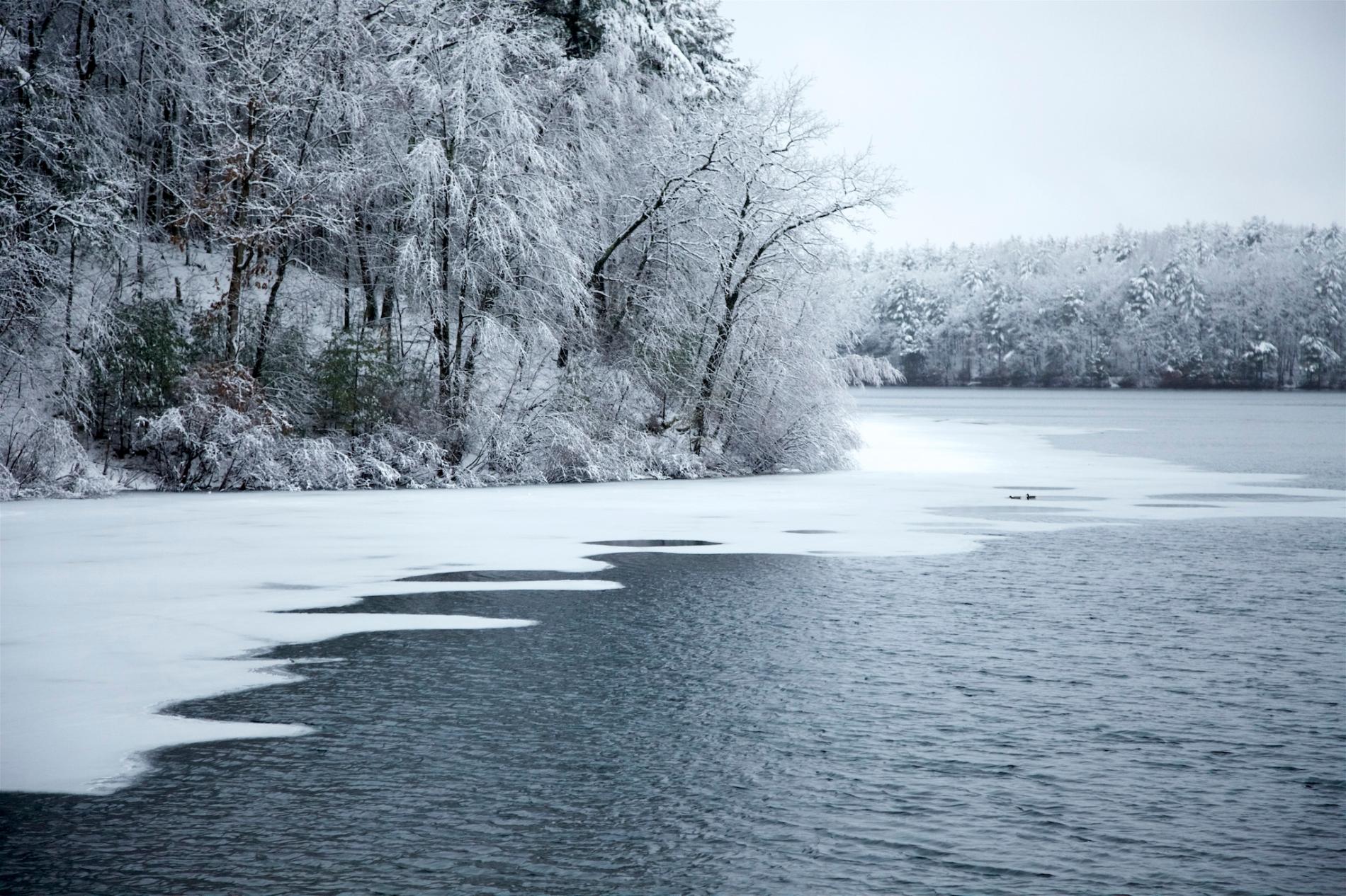 瓦爾登湖畔下雪